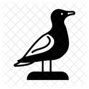 Seagull Bird Marine Icon