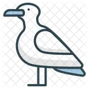 Seagulls Icon