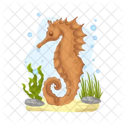 Seahorse  Icon