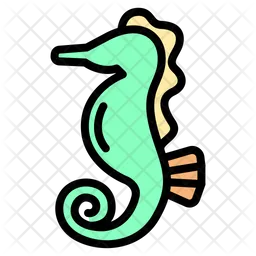 Seahorse  Icon
