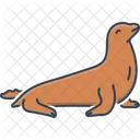 Seal Walrus Playful Icon