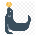 Seal Animal Antarctica Icon