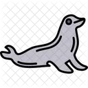 Seal Animal Mammal Icon
