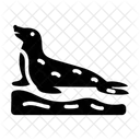 Seal Animal Sea Dog Pinnipedia Icon