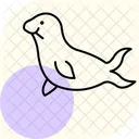 Seal Ocean Marine Icon
