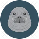 Seal Sea Animal Icon