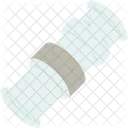 Seal  Icon