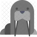 Sealion Icon