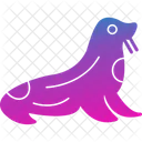 Seals Amusement Animal Icon