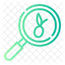 Search Loupe Magnifying Glass Icon