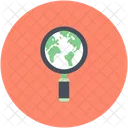 Search Magnify Worldwide Icon