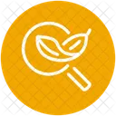 Seo Web Search Icon