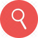 Search Icon