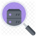 Search Magnifier Server Icon