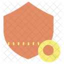 Search Shield  Icon