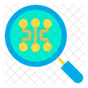 Search Network Search Find Icon