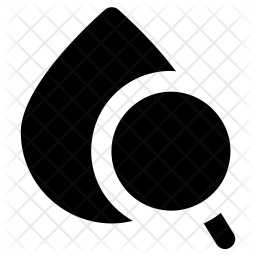 Search Icon