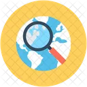 Search Location International Icon