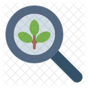 Search Plant Tree Icon