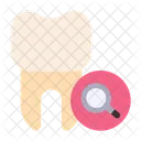 Search Magnifying Glass Tooth Icon