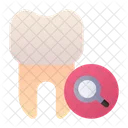 Search Magnifying Glass Tooth Icon