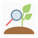 Search Plant Soil Icon