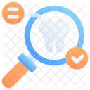 Search Magnifier Check Icon