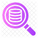 Search Server Database Icon