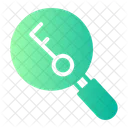 Search Key Magnifying Glass Icon