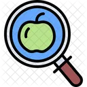 Search Apple  Icon