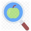 Search Apple Search Fruit Search Icon