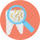 Search Bacteria Magnifying Glass Magnifier Icon