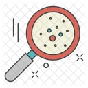 Bacteria Search Icon
