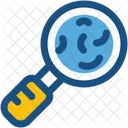 Search Bacteria Magnifying Icon