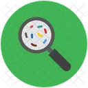 Search Bacteria Virus Icon