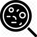 Search Bacteria  Icon