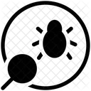Search Bug Search Virus Bug Icon