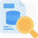 Search Data Data Server Icon