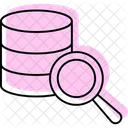 Search Data Magnifier Icon