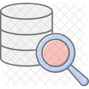 Search Data Magnifier Icon