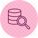 Search Data Magnifier Icon