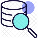 Search Data Search Database Find Data Icon