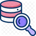 Search Data Find Database Find Icon