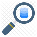 Database Search Server Icon