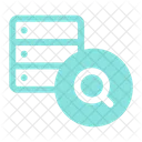 Search Database Server Icon