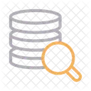 Database Server Search Icon