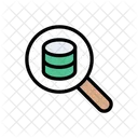 Search Database Storage Icon