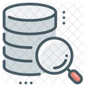 Magnifier Data Database Icon