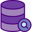 Search Database File Storage Cloud Servers Icon