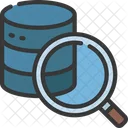 Search Database Search Research Icon